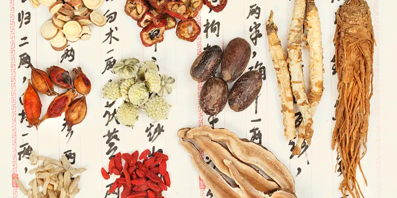 Các vị thuốc đông y là bài thuốc chữa ung thư não giúp ngăn các khối u phát triển,...