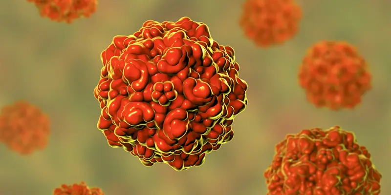 Virus HPV có thể là yếu tố dẫn đến ung thư vòm họng