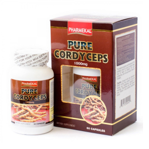 Đông trùng hạ thảo Pharmekal Pure Cordyceps giúp tăng cường sức đề kháng 60 viên